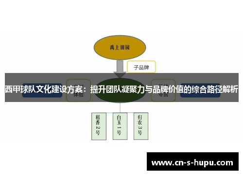 西甲球队文化建设方案：提升团队凝聚力与品牌价值的综合路径解析