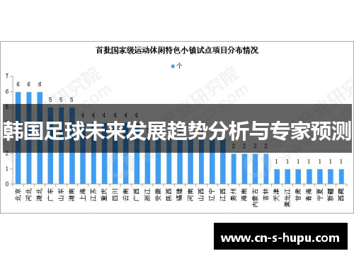 韩国足球未来发展趋势分析与专家预测